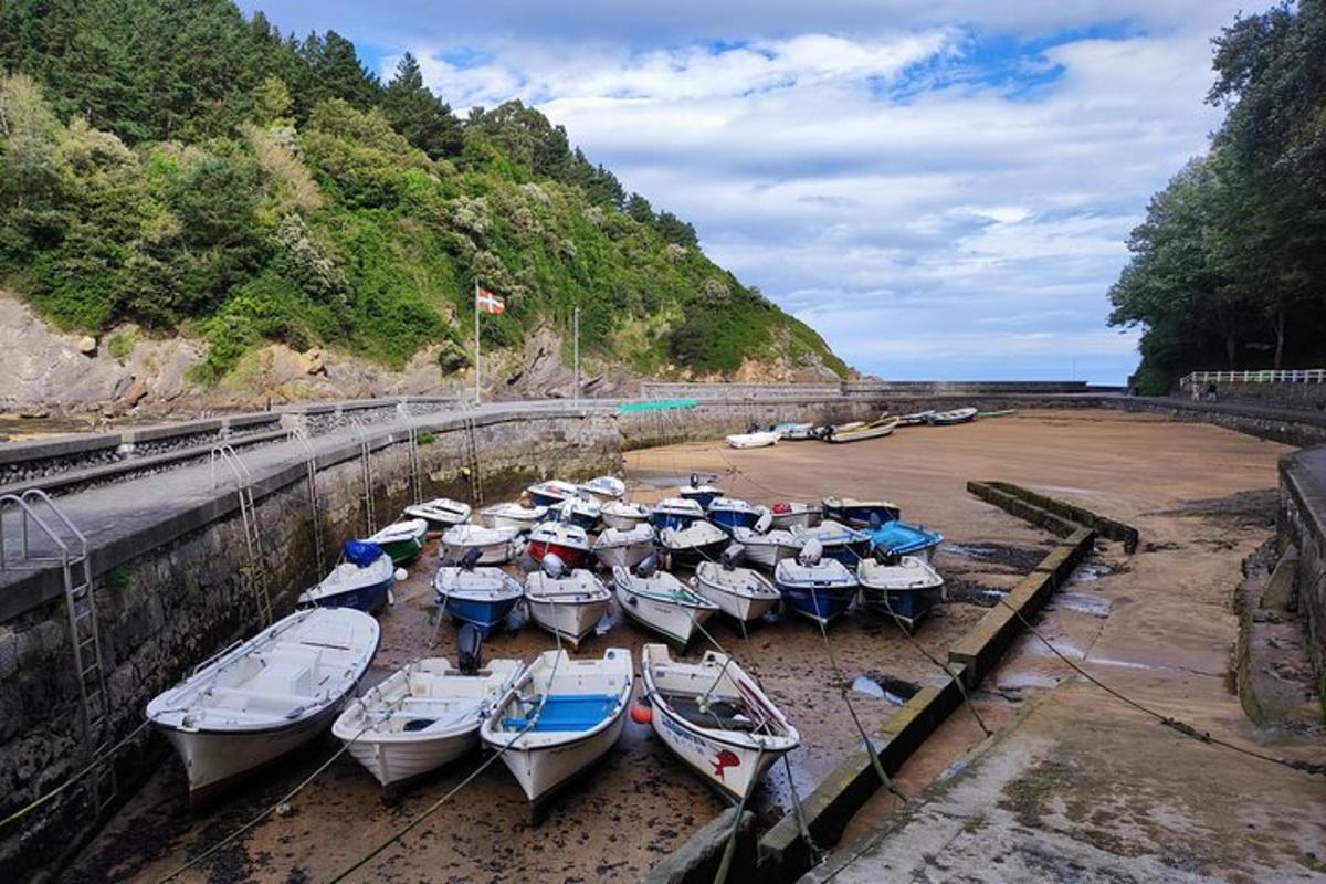 a group of boats are lined up on the beach