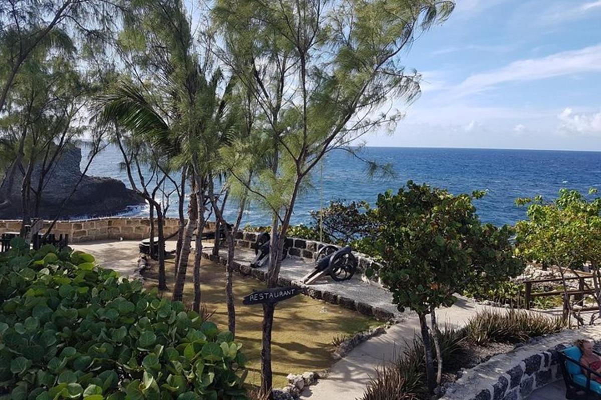 a park with trees and the ocean in the background