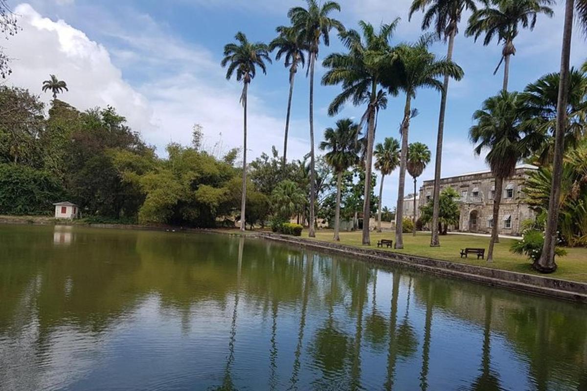 a body of water with palm trees and a building