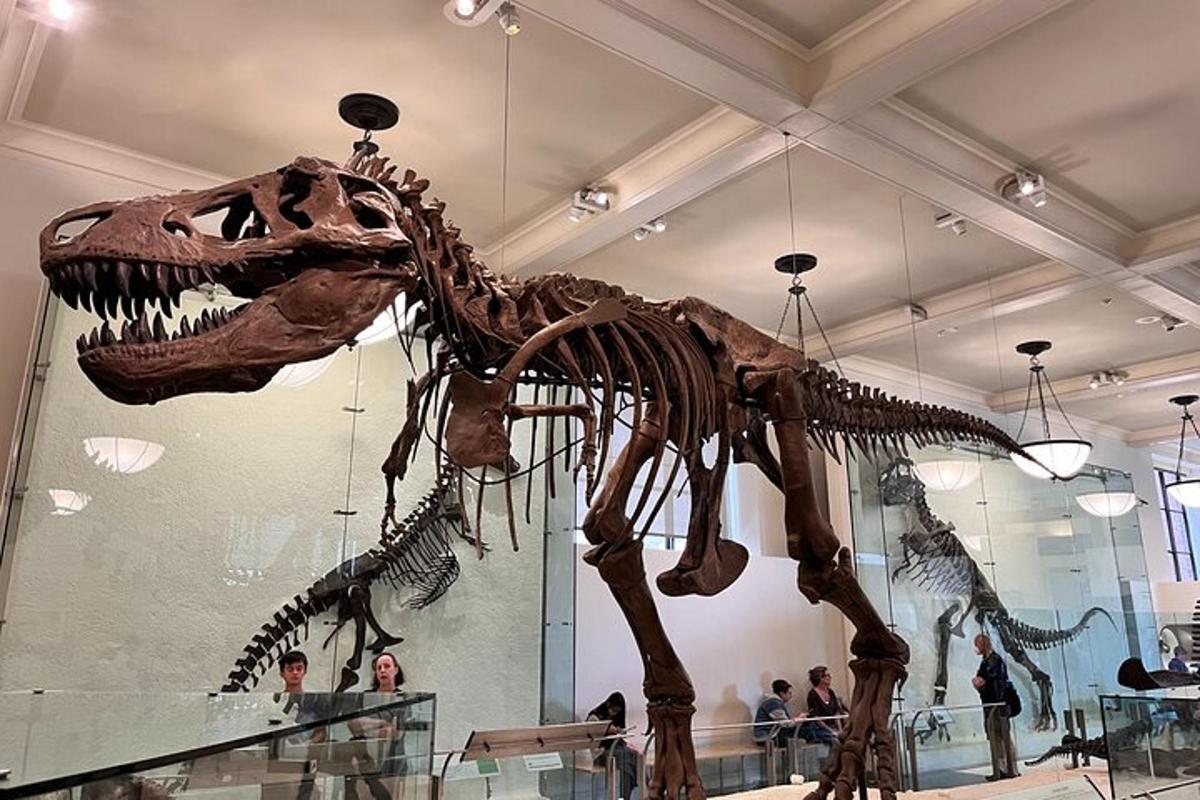 a skeleton of a dinosaur in a museum