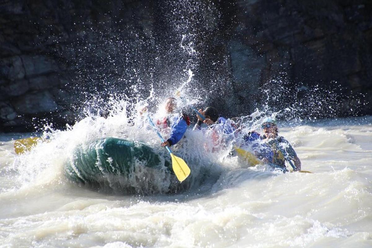 一群人在水中的木筏上
