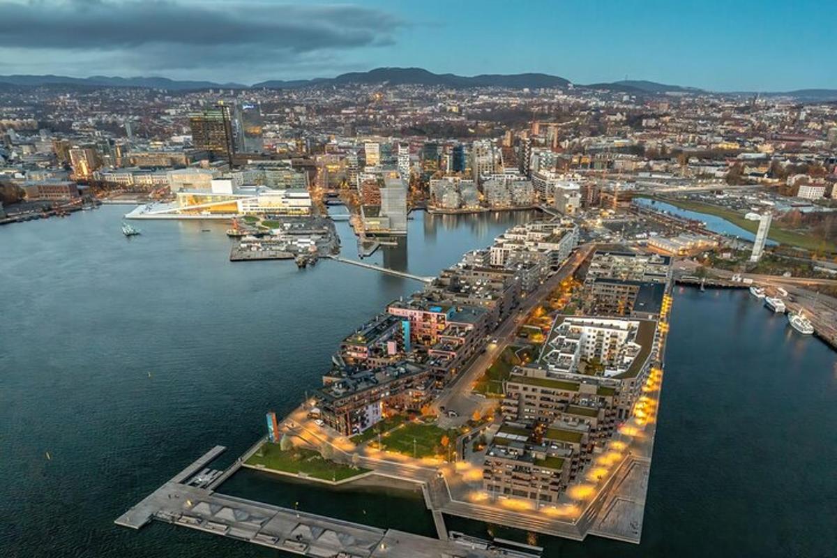 an aerial view of a harbor with a city