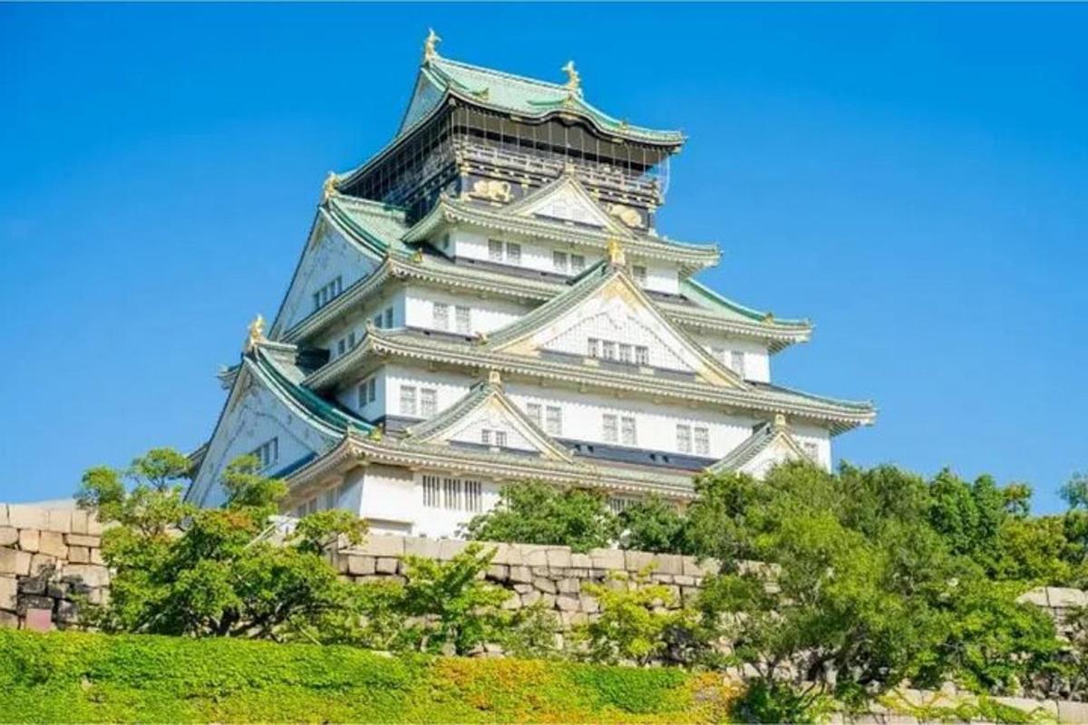 前に木々が茂る高い白い塔