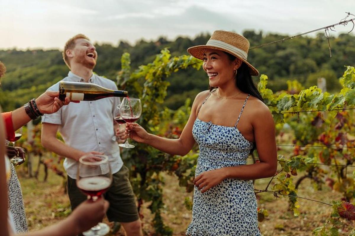 un gruppo di persone che bevono vino in un vigneto