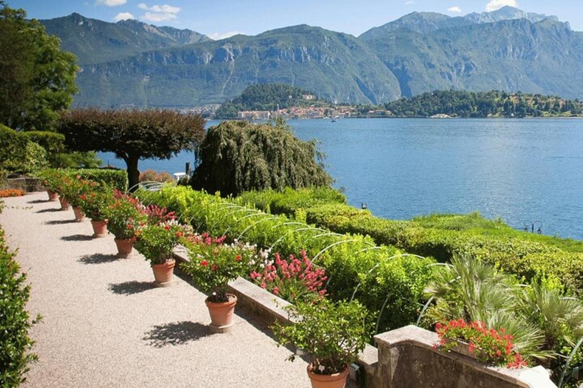 a row of plants in pots next to a body of water