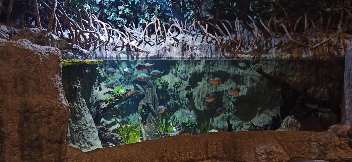 a fishtank with an aquarium in a wall