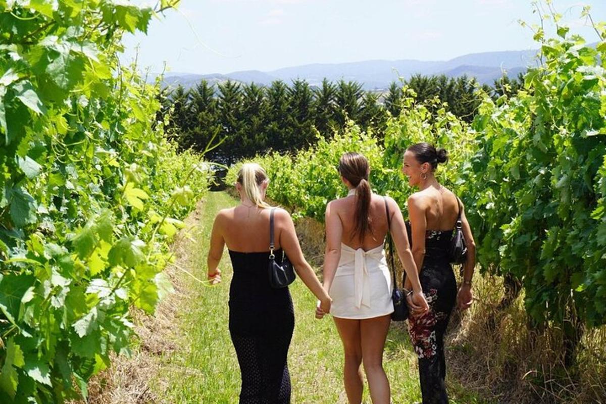 eine Gruppe von drei Frauen, die durch einen Weinberg gehen
