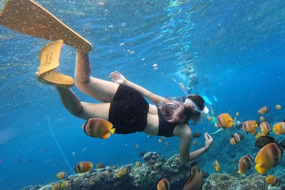 una donna sta nuotando nell'acqua con i pesci