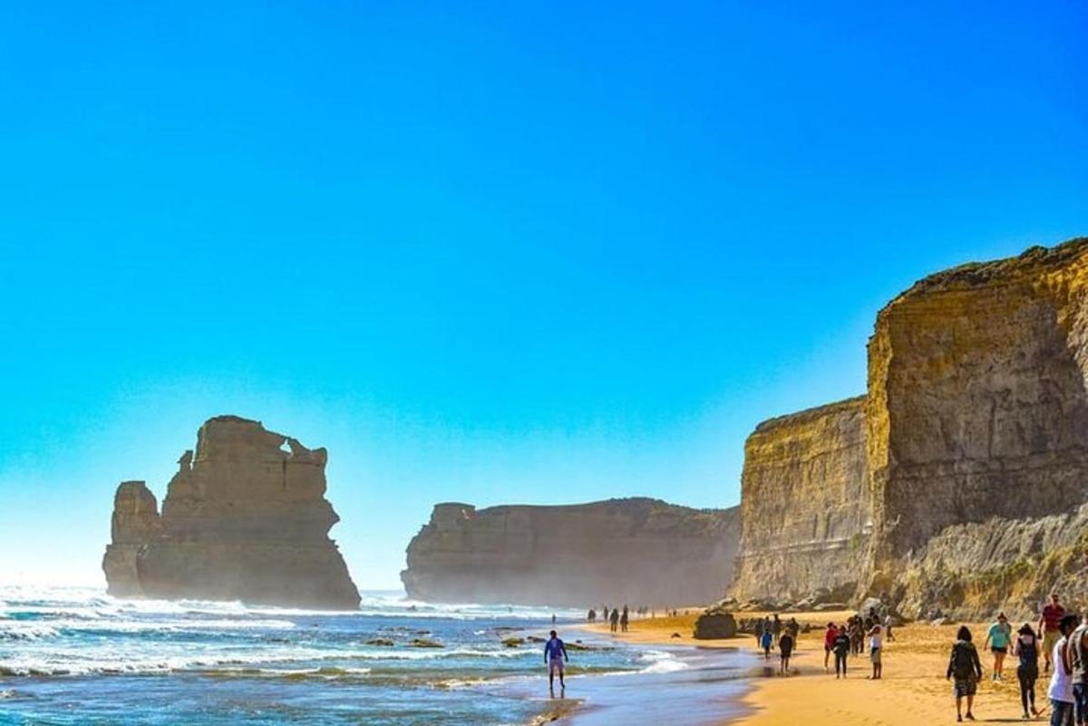 un gruppo di persone in piedi su una spiaggia vicino all'oceano