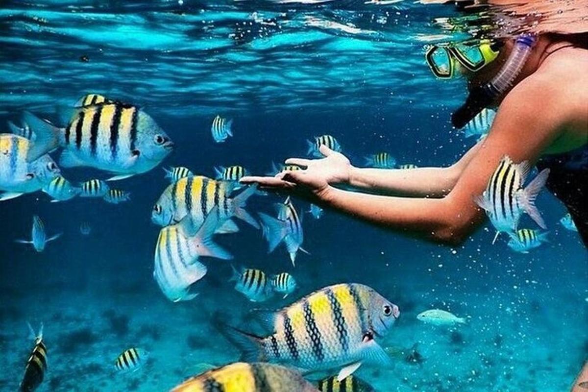 una donna che dà da mangiare a un gruppo di pesci nell'acqua