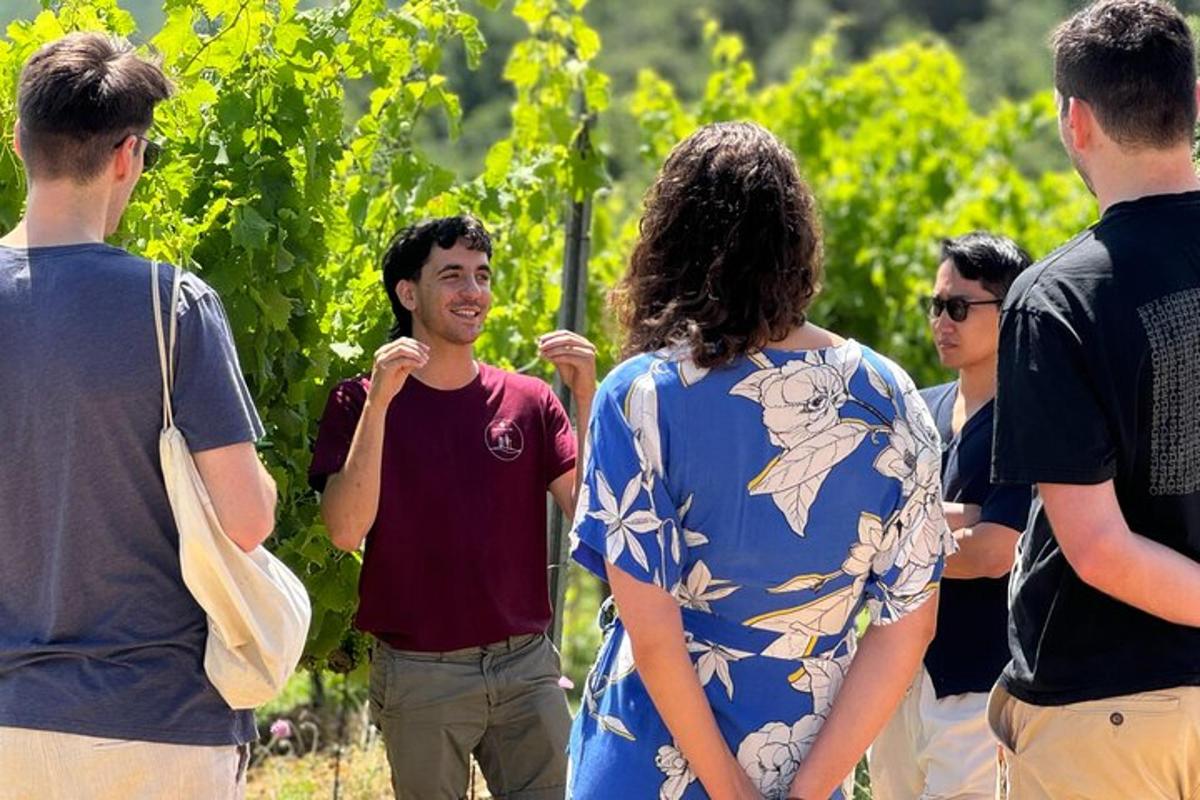 un groupe de personnes debout devant un vignoble