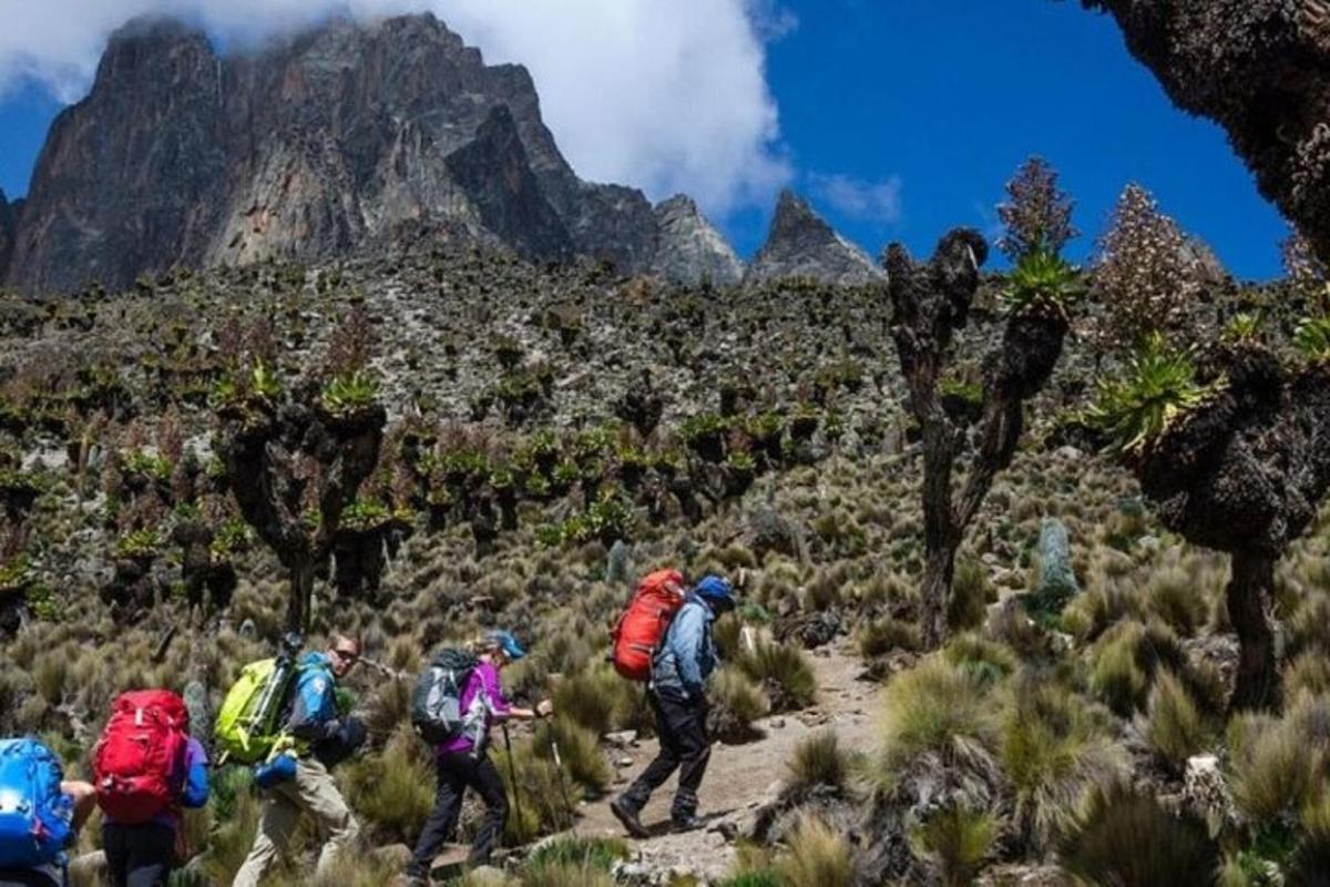 un grup de persones caminant per un sender de muntanya