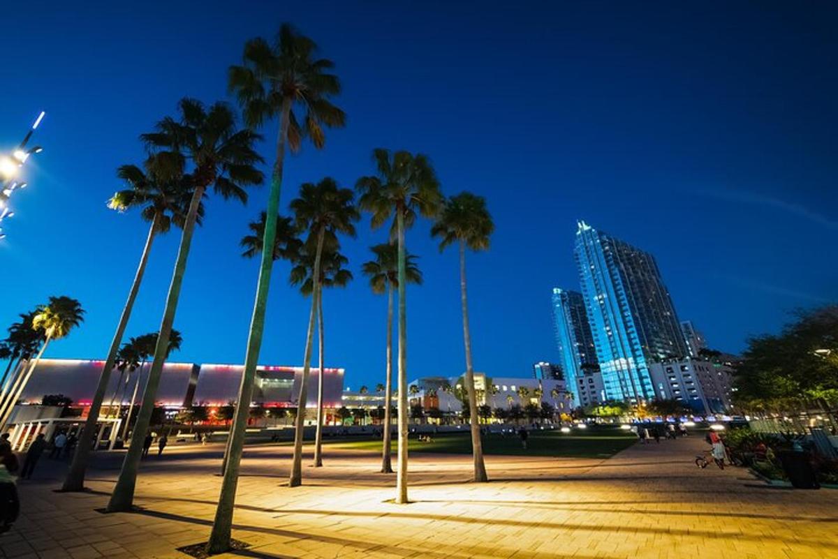 a group of palm trees in a park at night