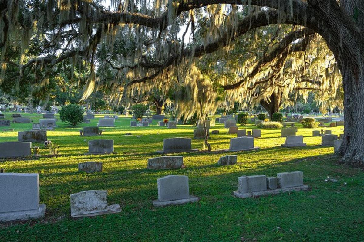 un gruppo di lapidi in un cimitero sotto un albero