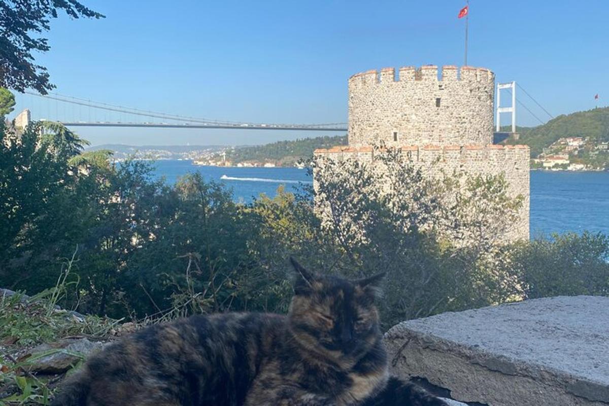 un gatto seduto in cima a un muro con un castello