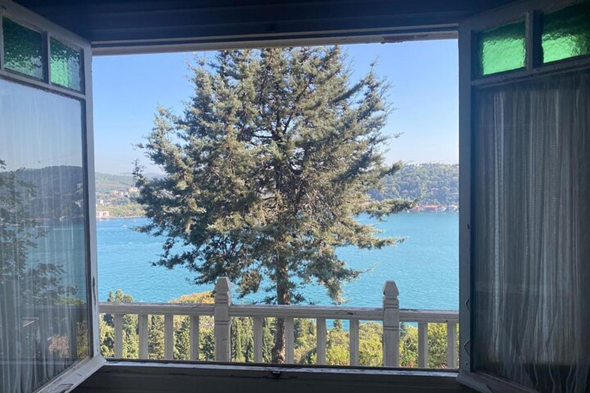 una finestra con vista su un albero e sull'acqua