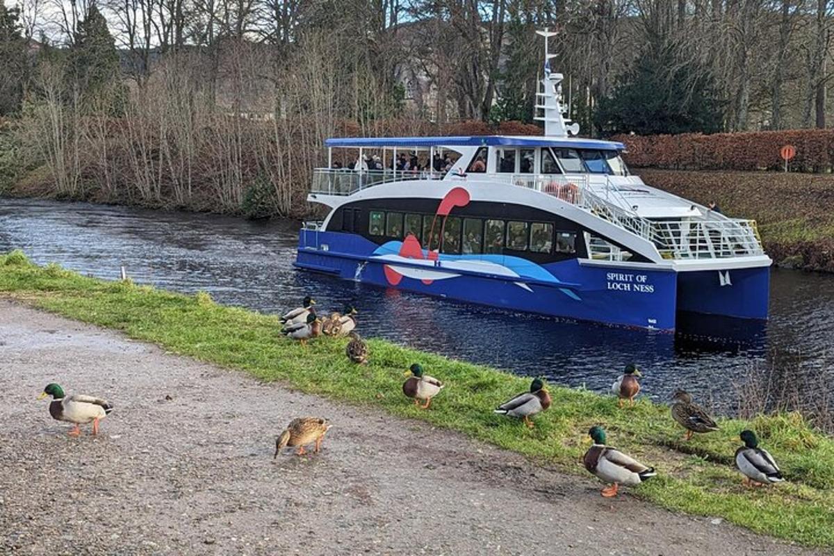 a blue and white boat on a river with ducks
