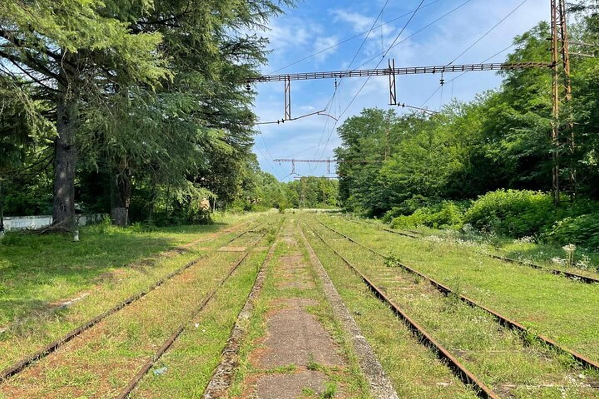 an empty dirt road with trees on the side