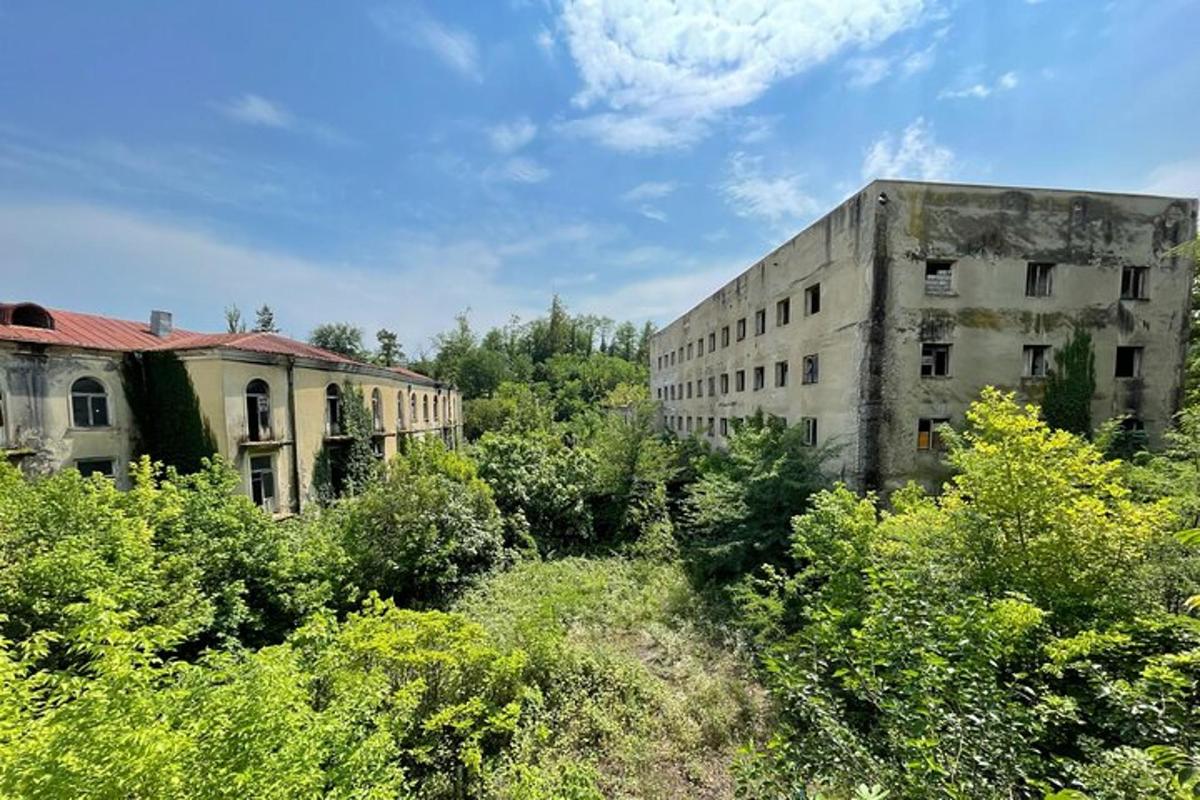 an old building in the middle of a forest