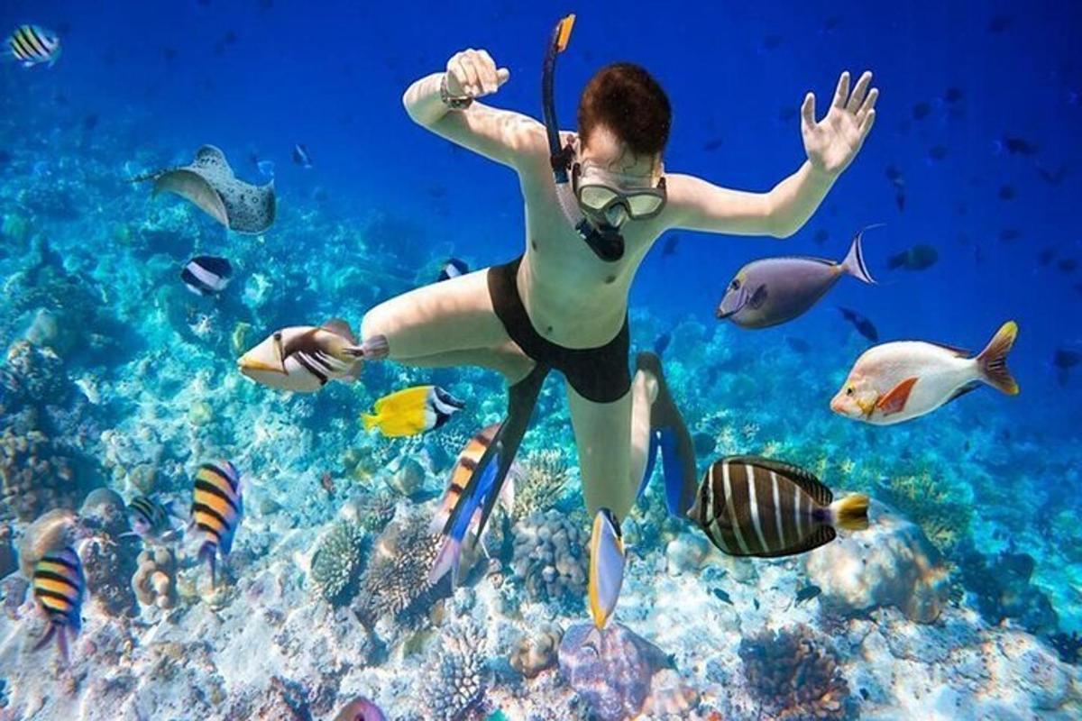 una dona nedant a l'oceà amb peixos