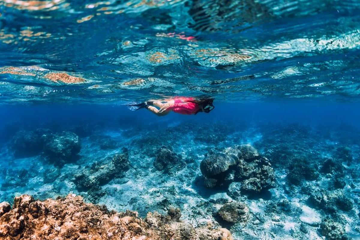 una persona che nuota nell'acqua vicino alla barriera corallina