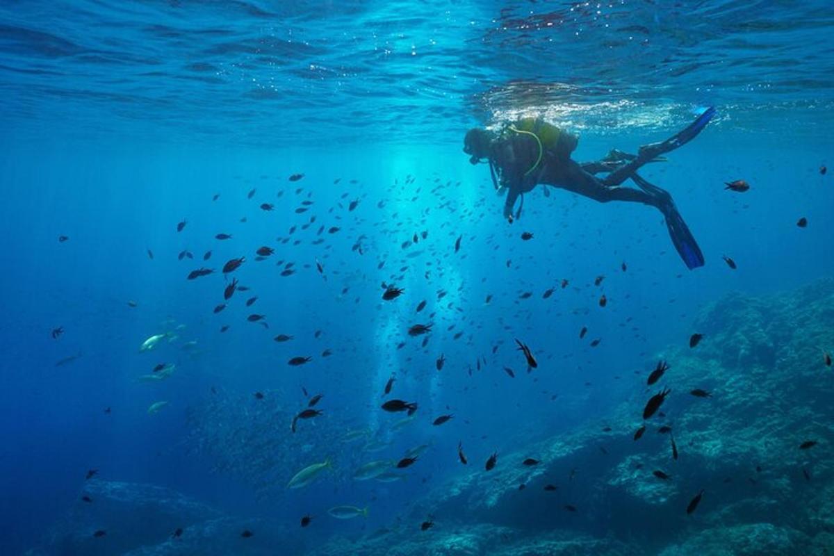una persona està nedant a l'aigua amb peixos