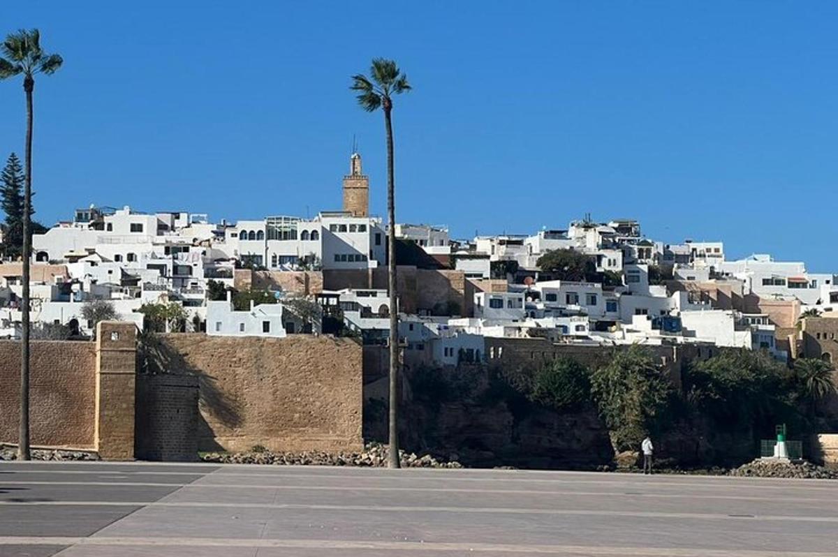 una città con edifici bianchi e palme su una collina