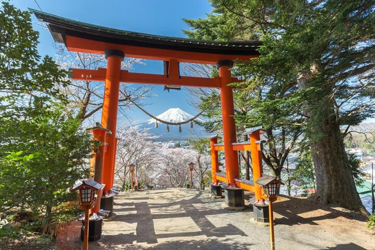 Narančasta torii vrata u parku s drvetom