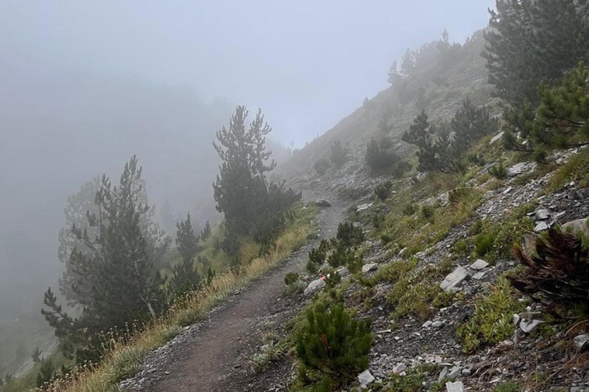 jalan tanah di atas gunung dengan pokok di atasnya