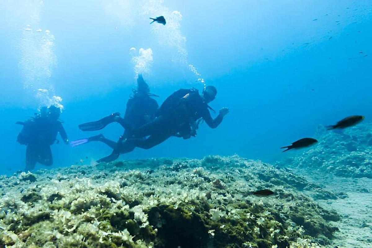 a group of people scuba diving over a coral reef