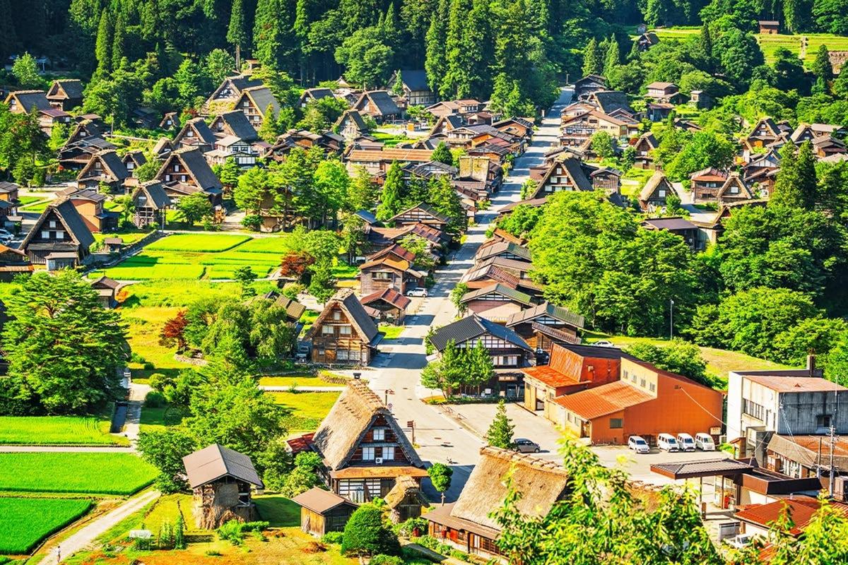 an aerial view of a small village with houses