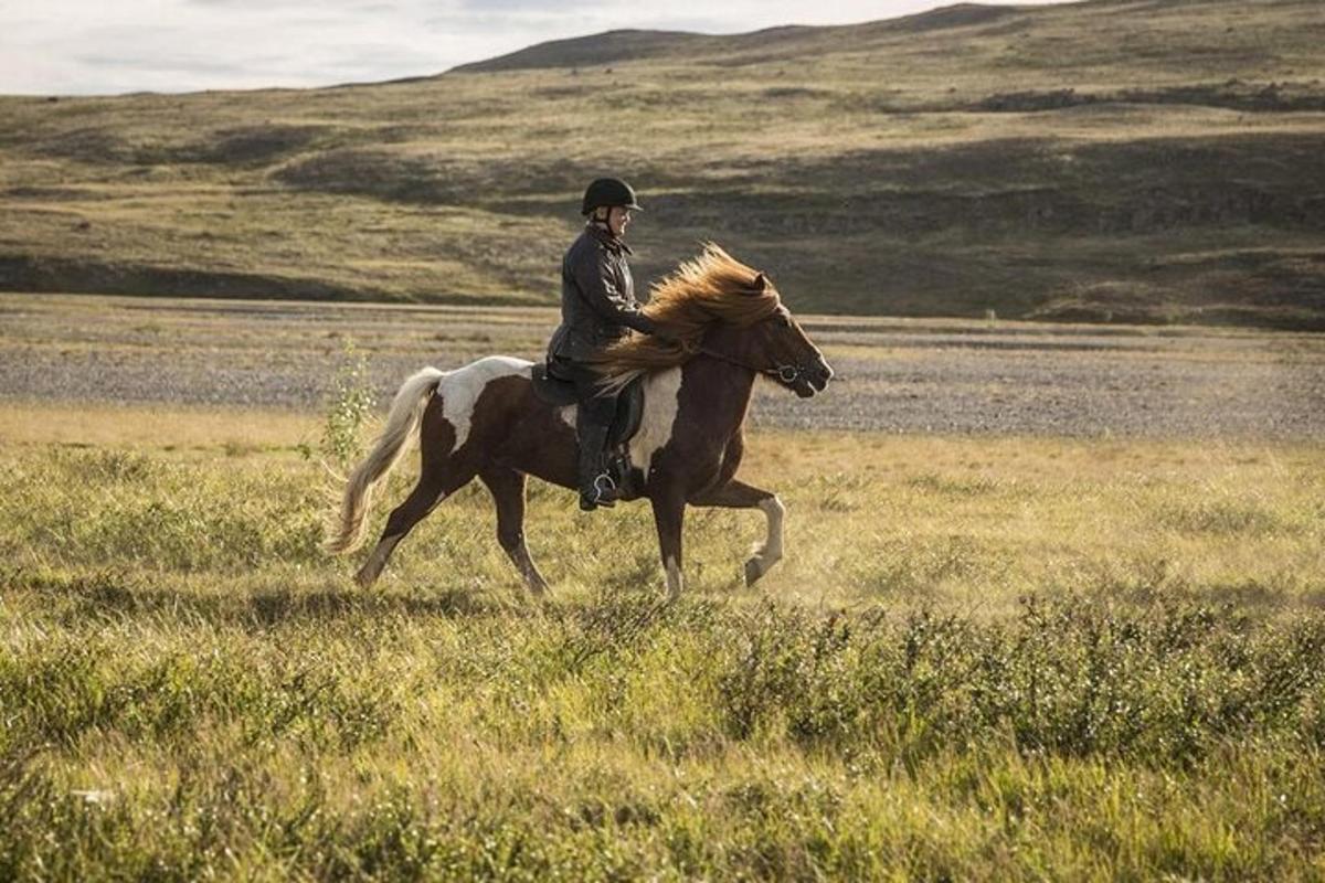 a person riding a horse in a field
