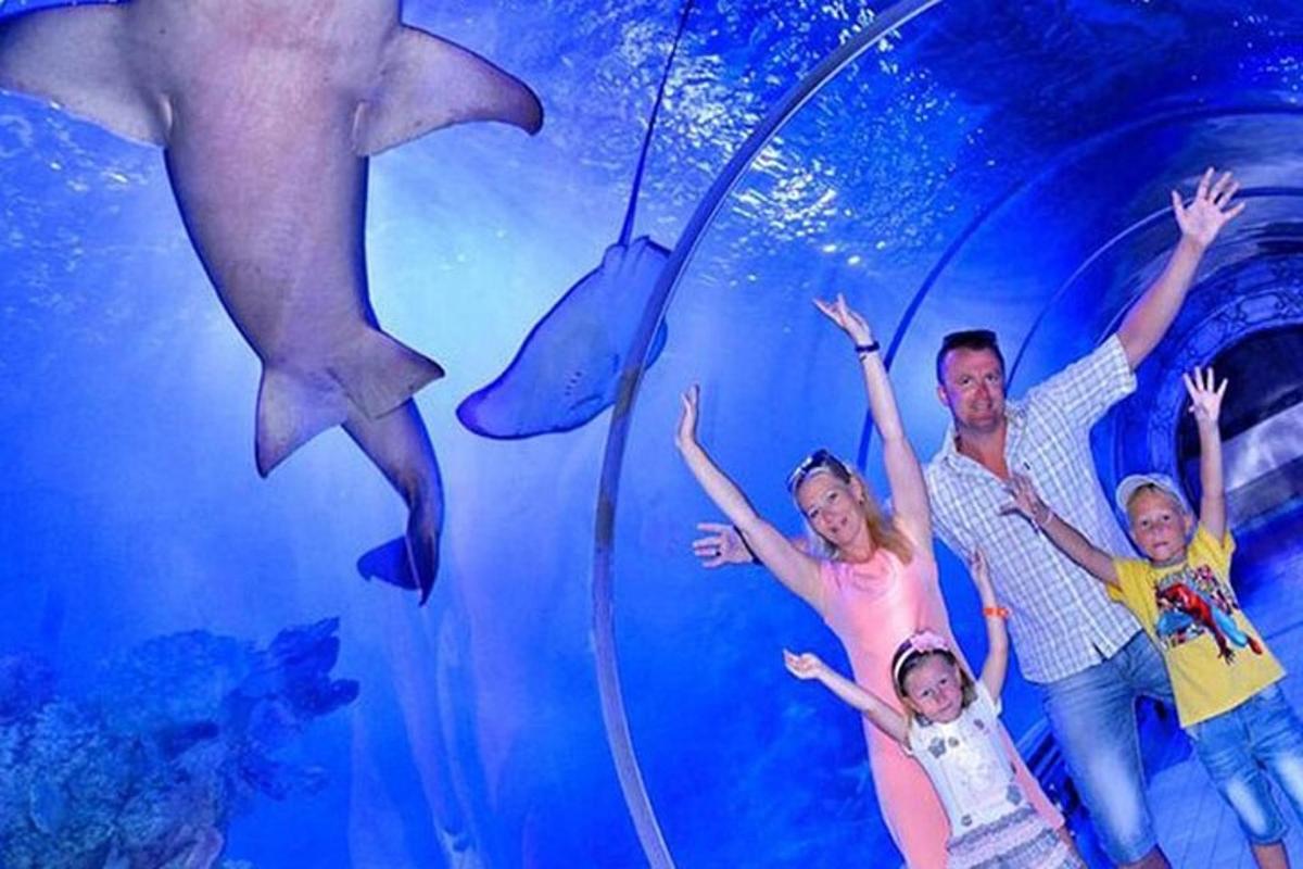 Una familia parada frente a un acuario con delfines.
