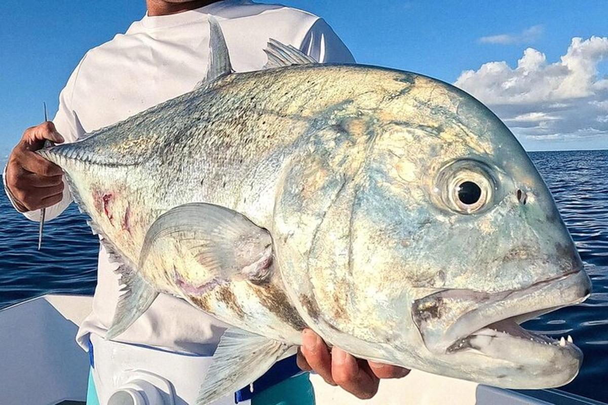 a man holding a large fish in his hand