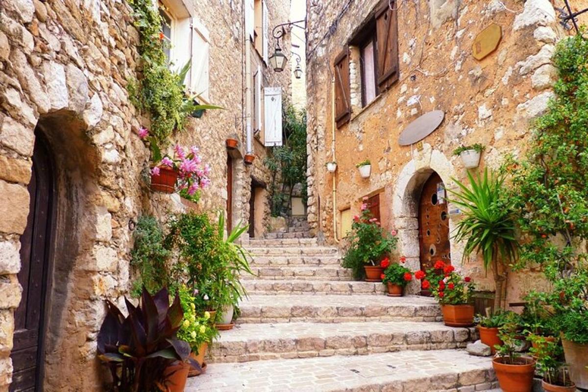 un carreró amb escales i plantes en un edifici antic