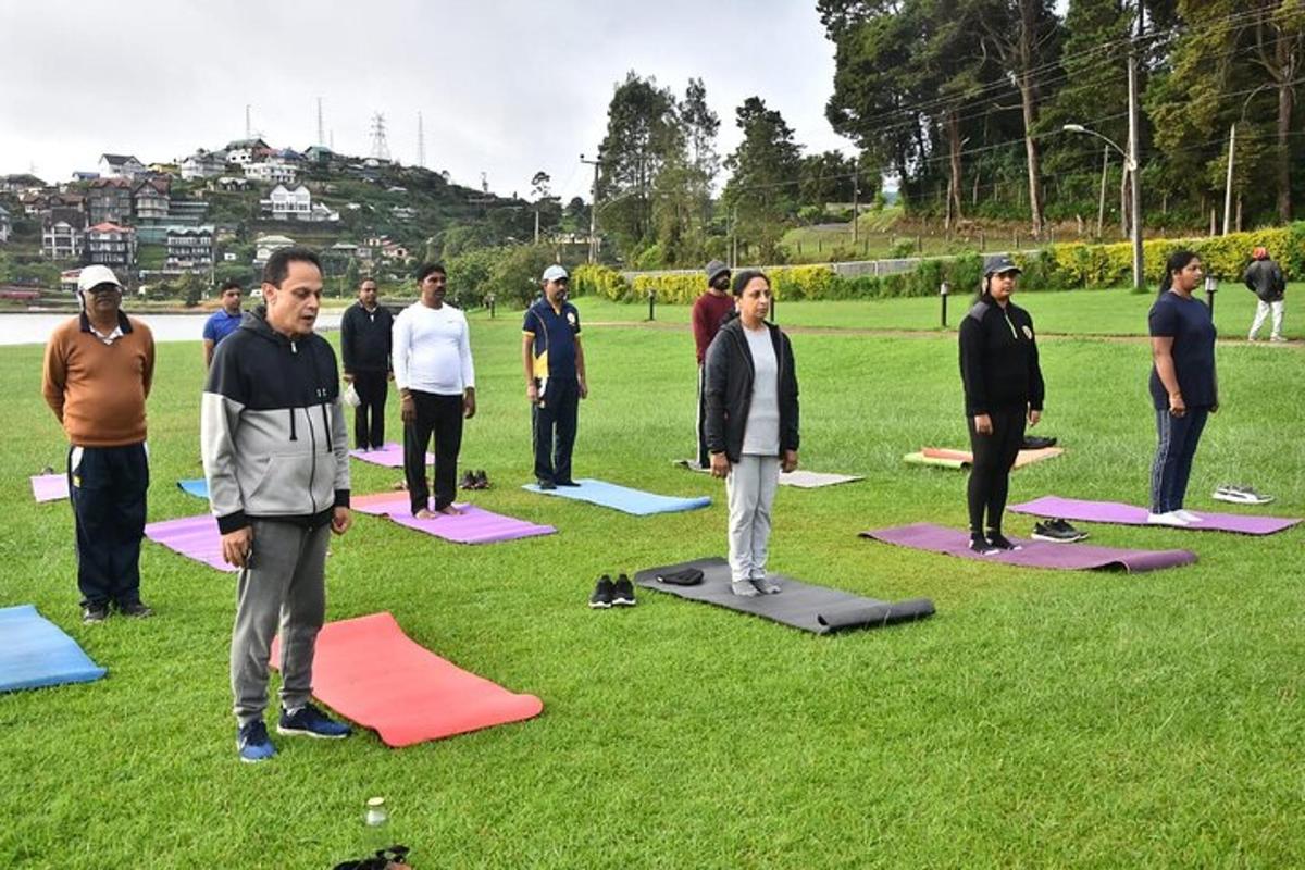 a group of people standing in a field doing yoga