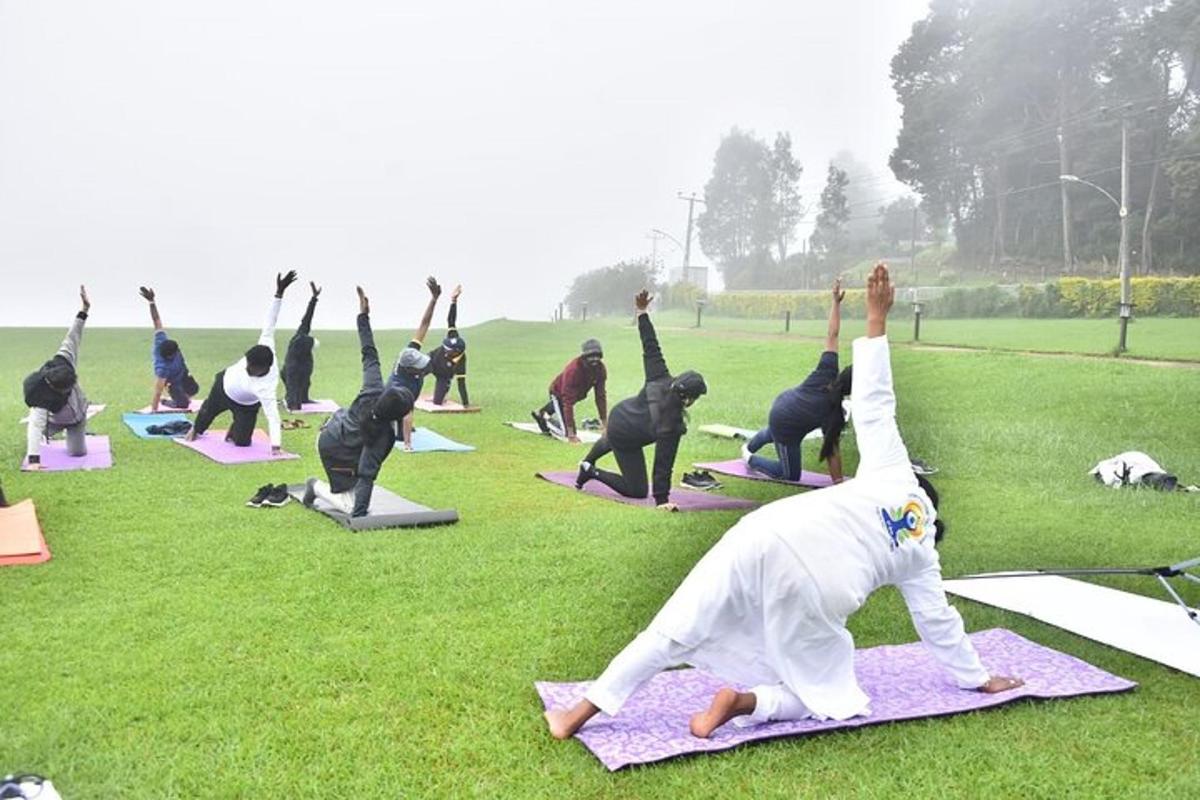 a group of people doing yoga in the grass