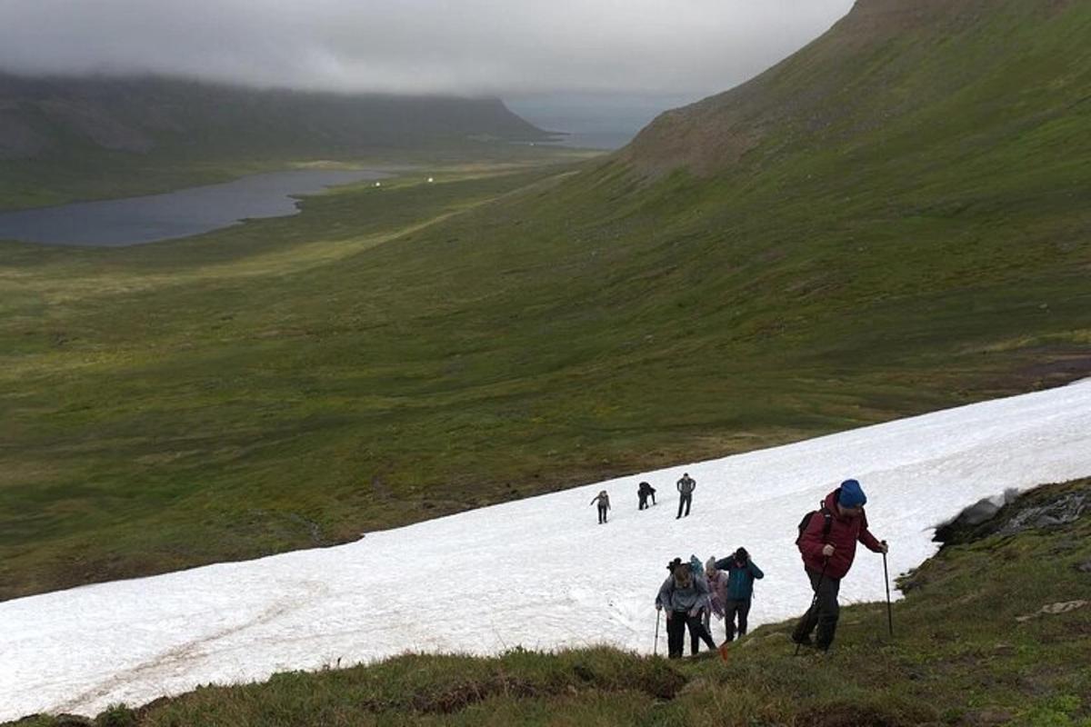 a group of people walking up a snow covered hill