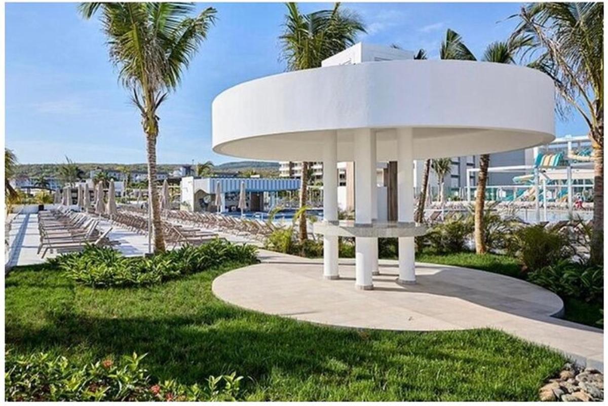 a white bench in a park with palm trees