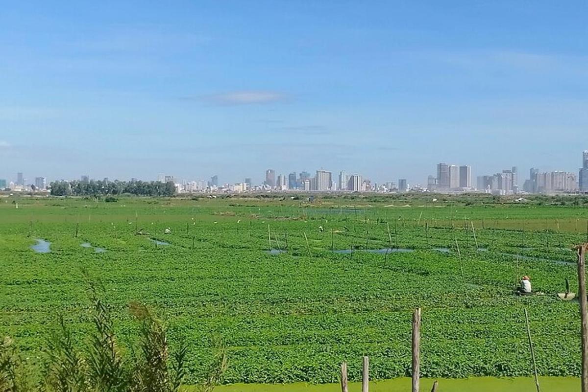 un campo con erba verde con una città sullo sfondo