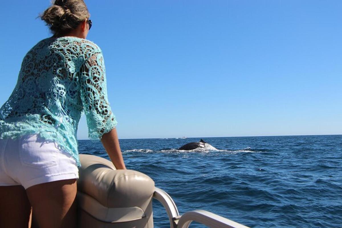 una donna su una barca che guarda una balena nell'acqua