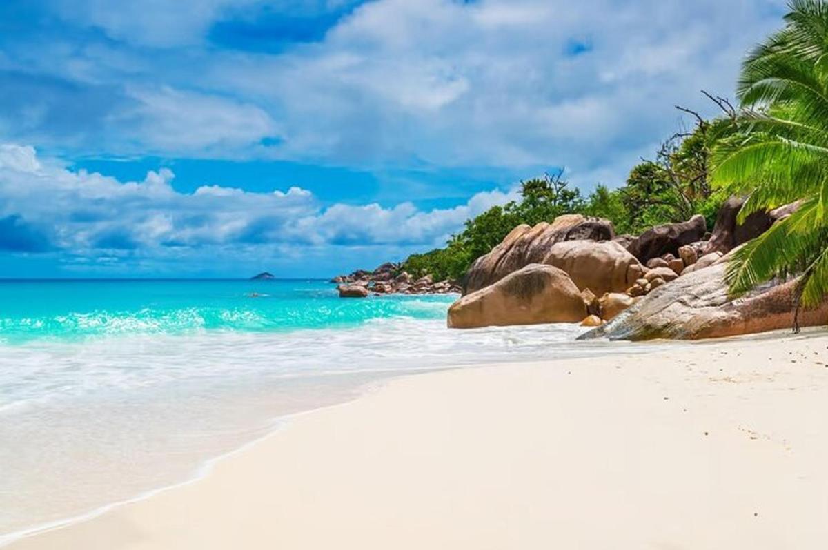a sandy beach with rocks and the ocean