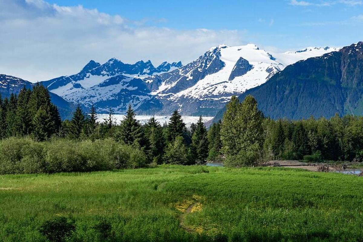 a green field with snow capped mountains in the background