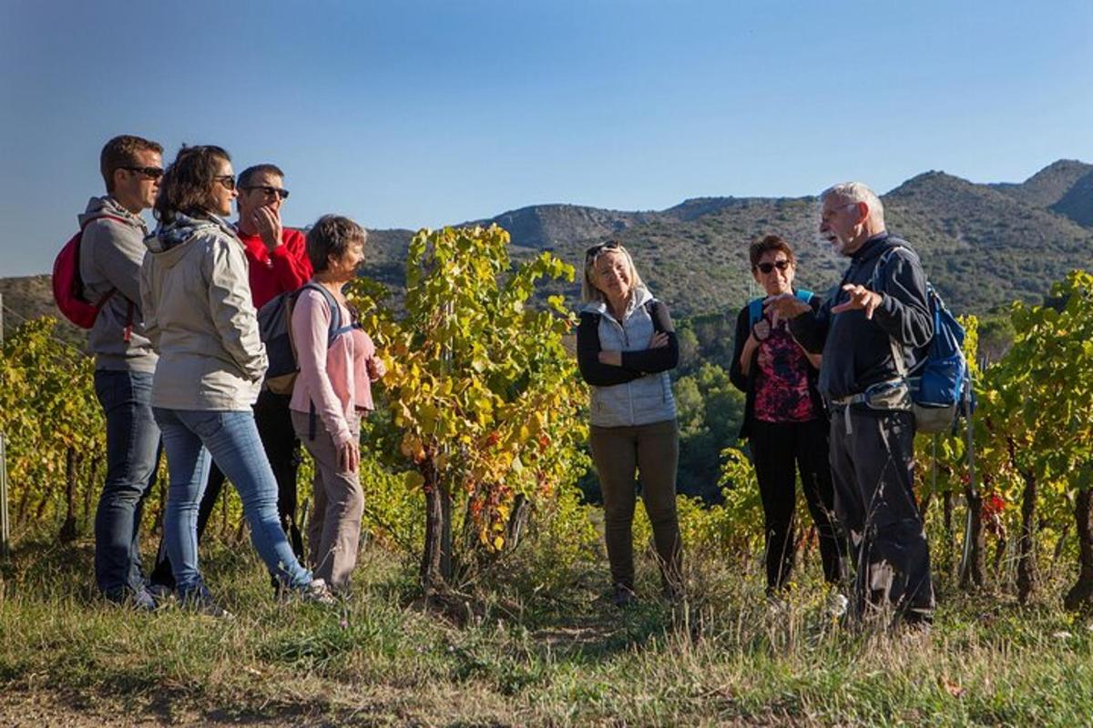 a group of people standing in front of a vineyard