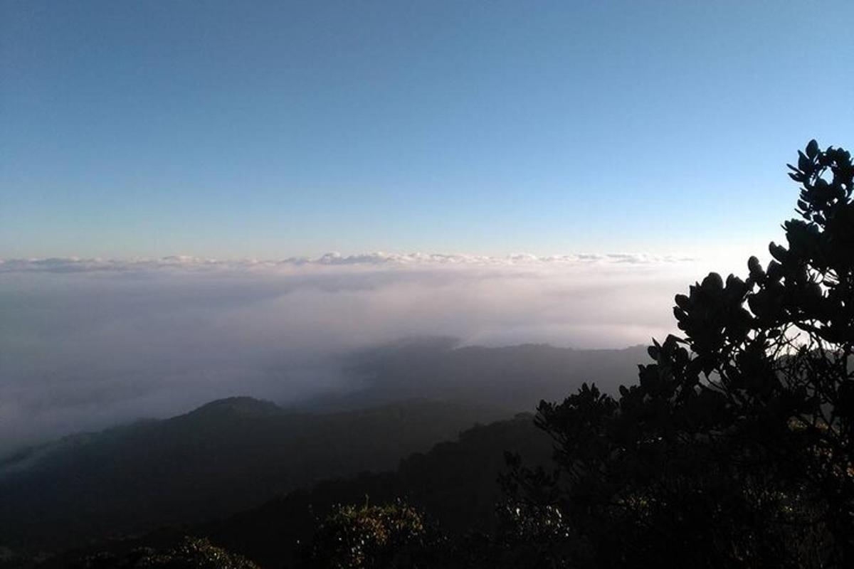 Una vista de un valle brumoso con una montaña.