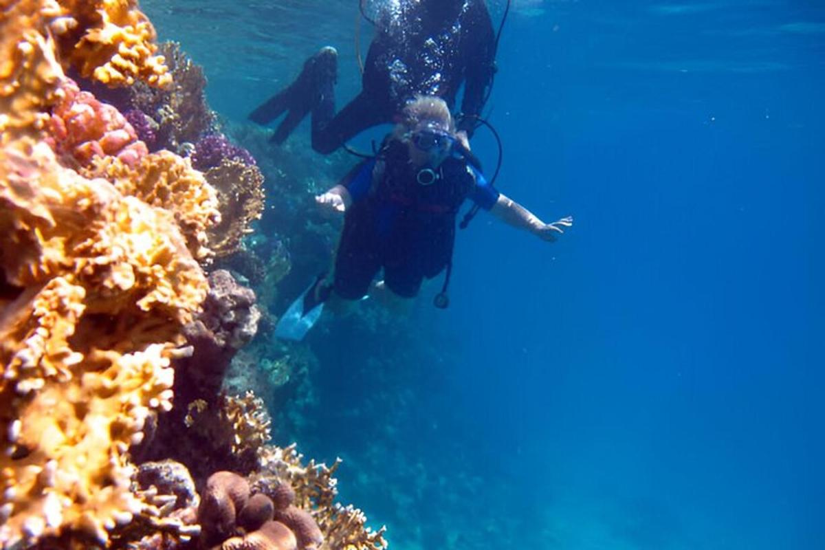 dva lidé plavají v oceánu poblíž korálového útesu