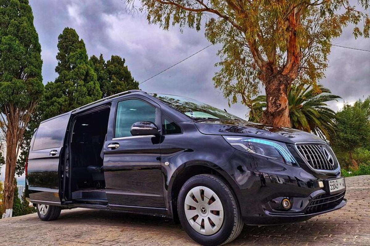 un SUV nero parcheggiato su una strada accanto a un albero