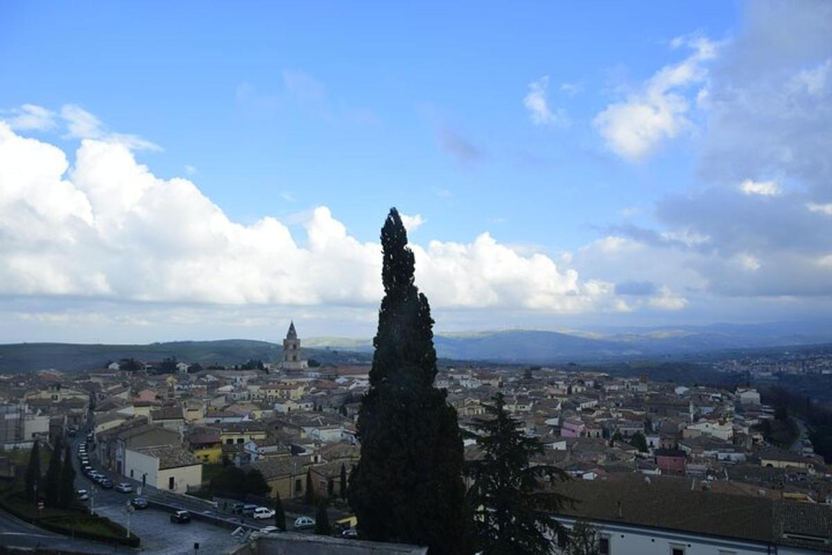 a view of a city with a tall tree