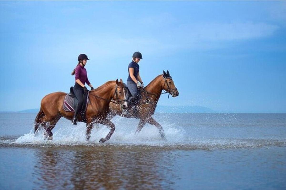 Dos personas montando a caballo en el agua en la playa.