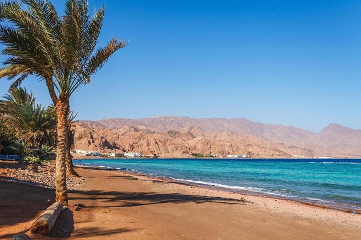 ein Strand mit zwei Palmen und dem Meer